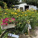 Apartman Naturwerk Ostsee *
