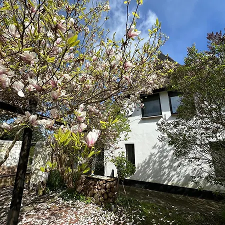 Naturwerk Ostsee Pruchten