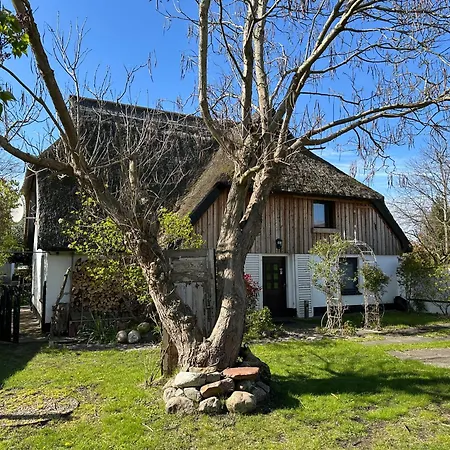 דירה Naturwerk Ostsee