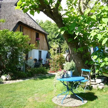 Naturwerk Ostsee Apartment Pruchten