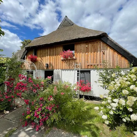 Naturwerk Ostsee Apartment
